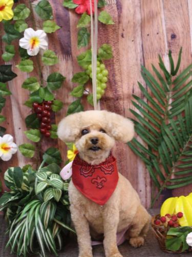 20230822クッキーくん